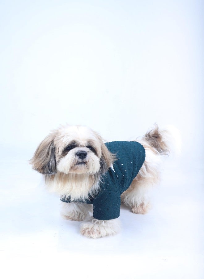 15 Buttons Dog Peacock Blue Sequence Work Sherwani | Pure Cotton Fabric | Wedding Dress for Pets | Comfortable Ethnic Summer Outfit Choice | for All Occasions | for French Bulldog (XL) - Image 5